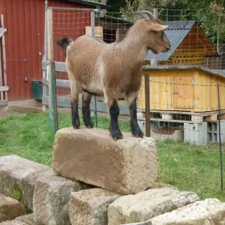 Апартаменты Irene Ludwigschorgast